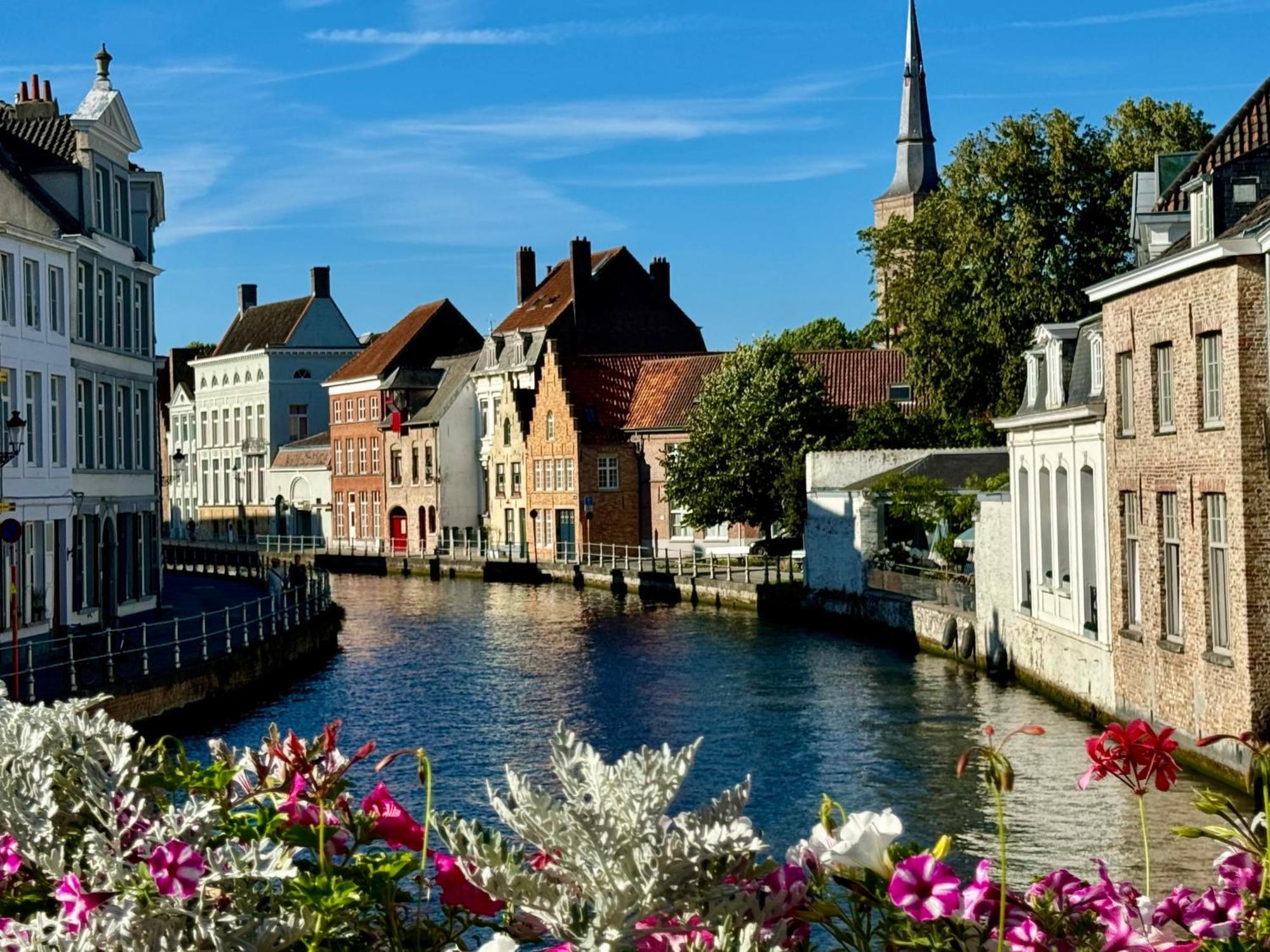 Sleeping Swan Bed & Breakfast Brugge Bagian luar foto