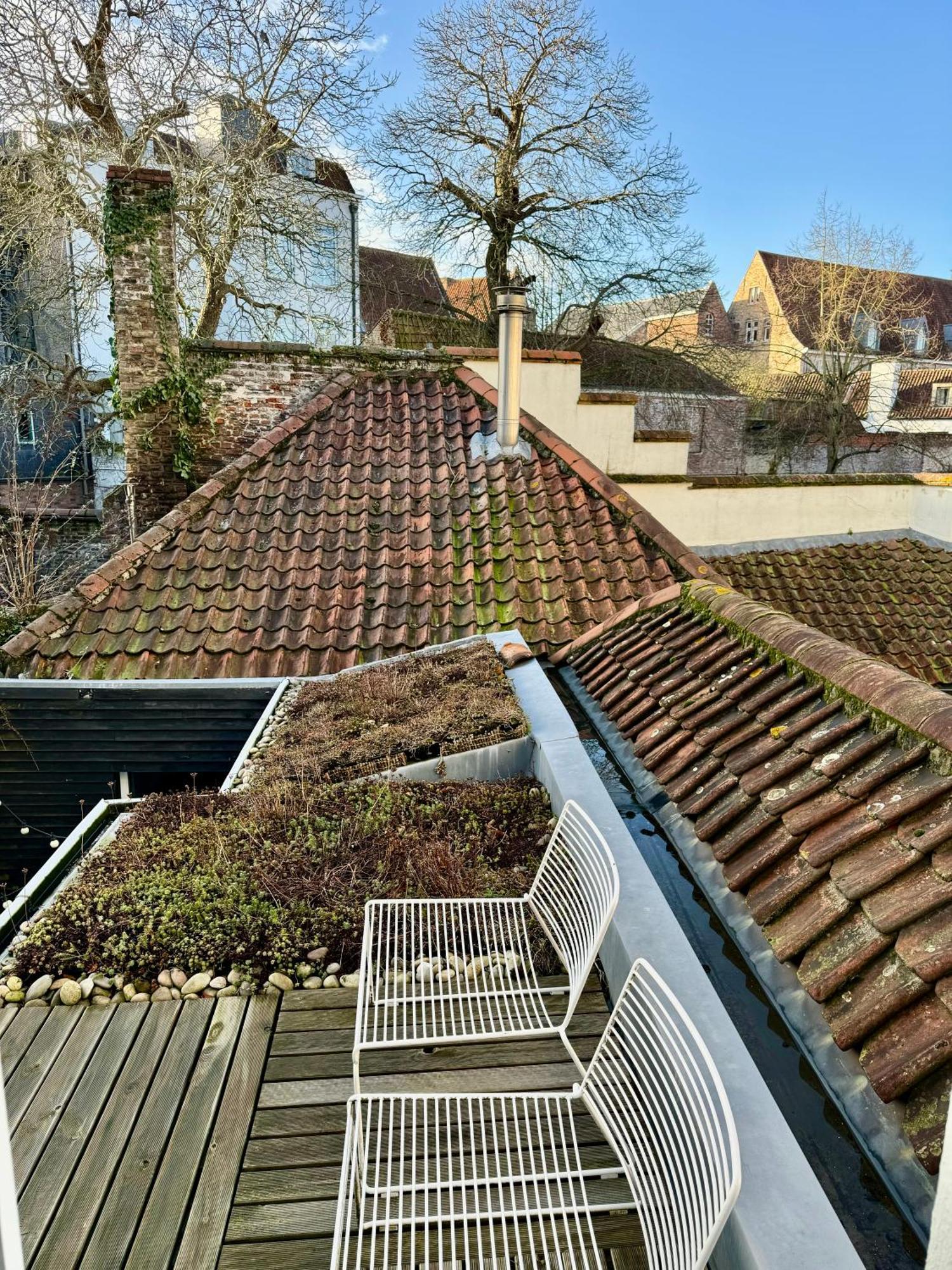 Sleeping Swan Bed & Breakfast Brugge Bagian luar foto