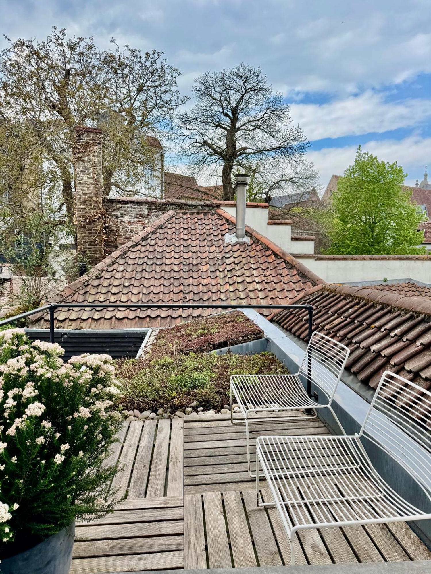 Sleeping Swan Bed & Breakfast Brugge Bagian luar foto