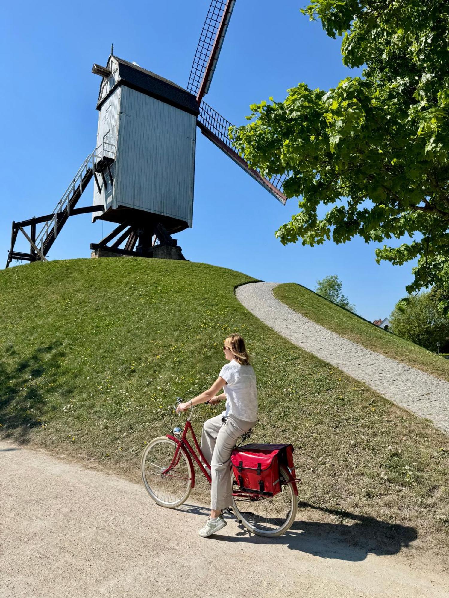 Sleeping Swan Bed & Breakfast Brugge Bagian luar foto